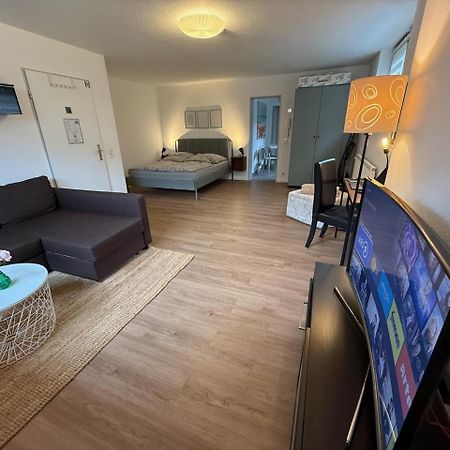 Apartment Regener Lörrach Zewnętrze zdjęcie