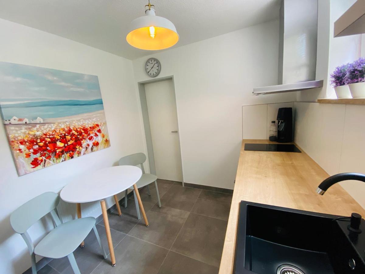 Apartment Regener Lörrach Zewnętrze zdjęcie