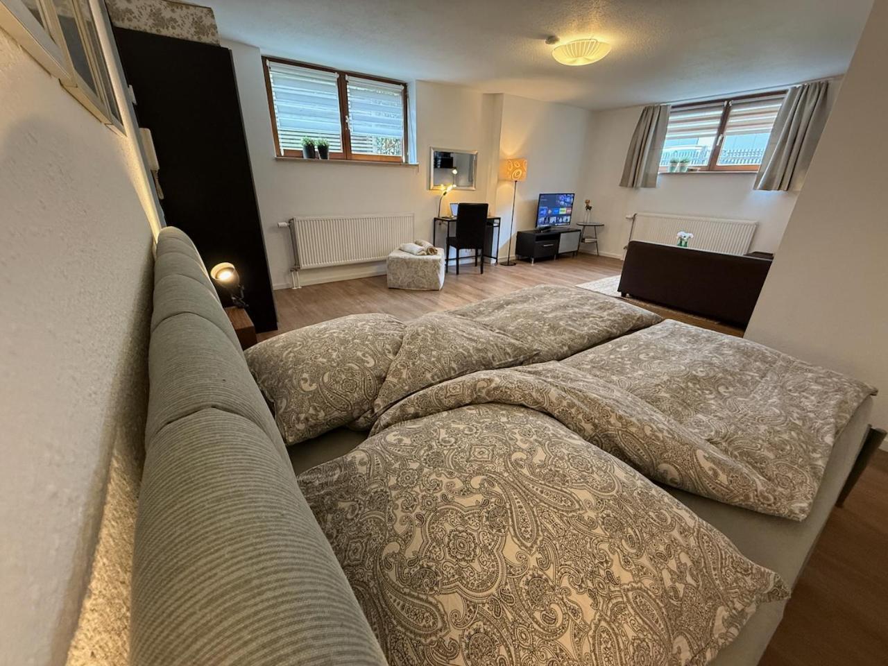 Apartment Regener Lörrach Zewnętrze zdjęcie